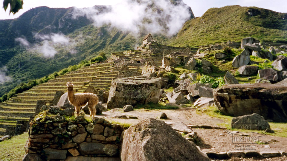 Machu Picchu Tours: viajando en tren